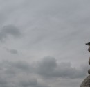 IMG_5951