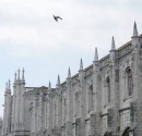 IMG_6029