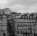 IMG_6316