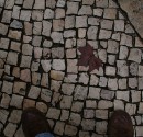 IMG_6345
