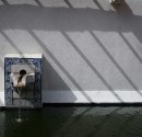 IMG_6358