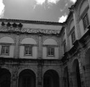 IMG_6372