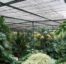 IMG_6420
