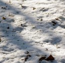 IMG_0908-2